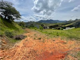  Land for sale in El Carmen De Viboral, Antioquia, El Carmen De Viboral