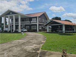 5 Schlafzimmer Haus zu verkaufen in Bugaba, Chiriqui, Volcan, Bugaba