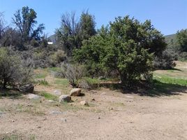  Grundstück zu verkaufen in Linares, Maule, Retiro