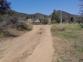  Land for sale in Retiro, Linares, Retiro