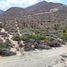 Terrain à vendre à La Paz, Baja California Sur, La Paz