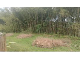  Land for sale in Pereira, Risaralda, Pereira