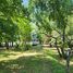 2 Bedroom House for sale in Tigre, Buenos Aires, Tigre