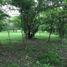  Land for sale in Bolivar, Cartagena, Bolivar