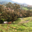  Land for sale in Girardota, Antioquia, Girardota