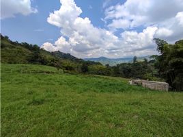  Grundstück zu verkaufen in Santa Rosa De Cabal, Risaralda, Santa Rosa De Cabal