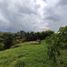  Grundstück zu verkaufen in Santa Rosa De Cabal, Risaralda, Santa Rosa De Cabal