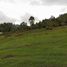  Land for sale in La Ceja, Antioquia, La Ceja