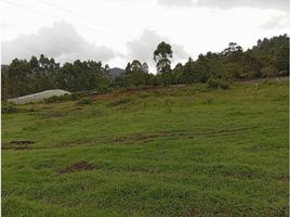  Terreno (Parcela) en venta en La Ceja, Antioquia, La Ceja