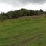  Land for sale in La Ceja, Antioquia, La Ceja