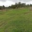  Land for sale in La Ceja, Antioquia, La Ceja