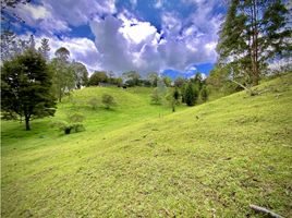  Grundstück zu verkaufen in Retiro, Antioquia, Retiro, Antioquia