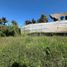  Land for sale in Rionegro, Antioquia, Rionegro