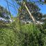  Land for sale in Rionegro, Antioquia, Rionegro