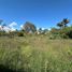  Land for sale in Rionegro, Antioquia, Rionegro