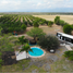  Land for sale in Allende, Nuevo Leon, Allende