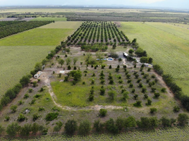  Land for sale in Allende, Nuevo Leon, Allende
