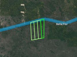  Land for sale in Kinchil, Yucatan, Kinchil