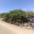  Terreno (Parcela) en venta en La Paz, Baja California Sur, La Paz, Baja California Sur