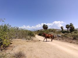  Terreno (Parcela) en venta en La Paz, Baja California Sur, La Paz, Baja California Sur