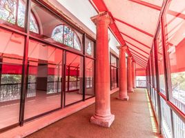 554 m2 Office for rent in Miguel Hidalgo, Mexico City, Miguel Hidalgo
