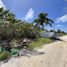  Land for sale in Ixil, Yucatan, Ixil
