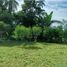  Land for sale in Chiriqui, Santo Tomas, Alanje, Chiriqui