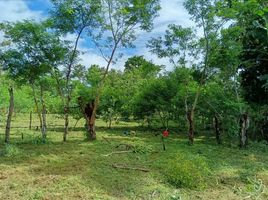  Terreno (Parcela) en venta en Chiriquí, Santo Tomás, Alanje, Chiriquí