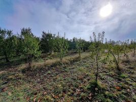  Land for sale in Los Rios, Mariquina, Valdivia, Los Rios