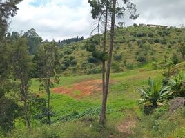 4 Habitación Casa en venta en Guarne, Antioquia, Guarne