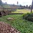 6 Bedroom House for sale in Pallatanga Chimborazo, Pallatanga, Pallatanga, Chimborazo