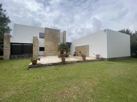 4 Habitación Casa en venta en Tumbaco, Quito, Tumbaco