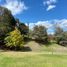  Terrain for sale in Cuenca, Azuay, Cuenca, Cuenca