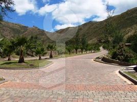  Land for sale in Tumbaco, Quito, Tumbaco