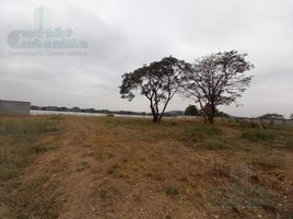  Land for rent in Guayas, Guayaquil, Guayaquil, Guayas