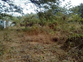  Land for rent in Guayas, Guayaquil, Guayaquil, Guayas