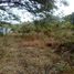  Land for rent in Guayaquil, Guayas, Guayaquil, Guayaquil