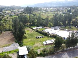  Terreno (Parcela) en alquiler en Pichincha, Alangasi, Quito, Pichincha