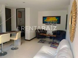 2 Bedroom Apartment for rent in Bare Foot Park (Parque de los Pies Descalzos), Medellin, Medellin