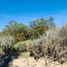  Terrain for sale in Tecate, Baja California, Tecate