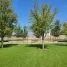  Grundstück zu verkaufen in Saltillo, Coahuila, Saltillo