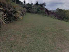  Terreno (Parcela) en venta en Penol, Antioquia, Penol