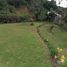  Terreno (Parcela) en venta en Penol, Antioquia, Penol