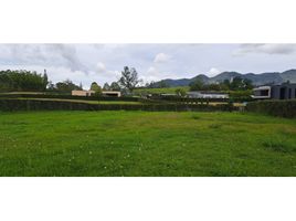  Land for sale in El Carmen De Viboral, Antioquia, El Carmen De Viboral