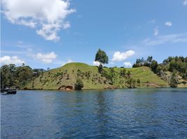  Terreno (Parcela) en venta en Penol, Antioquia, Penol