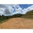  Land for sale in Guarne, Antioquia, Guarne