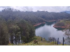  Terreno (Parcela) en venta en Penol, Antioquia, Penol