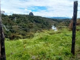  Terreno (Parcela) en venta en Guatape, Antioquia, Guatape