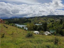  Terreno (Parcela) en venta en Penol, Antioquia, Penol