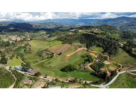  Terreno (Parcela) en venta en Penol, Antioquia, Penol